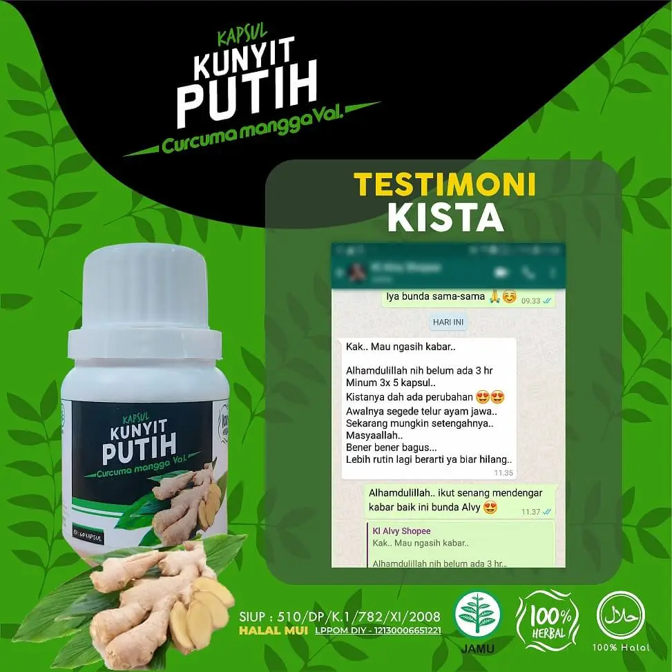 Kunyit-Manfaat-kista.webp